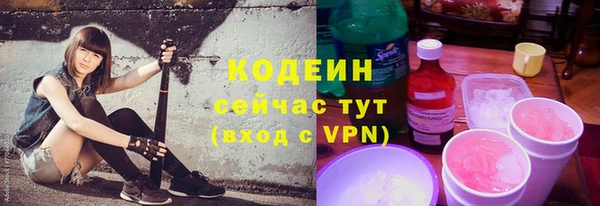 крисы Пенза